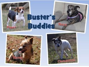 Buster's Buddies