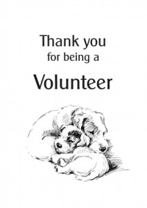 Thanks - volunteer