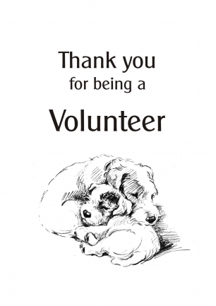 Volunteer Thanks - volunteer