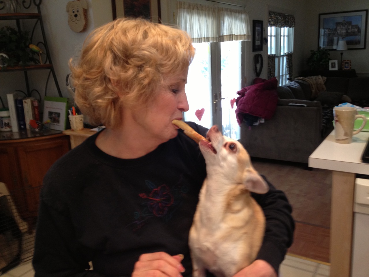 Nutrition for Senior Pets