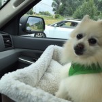 Marzi listening to Frances ordering the Treats