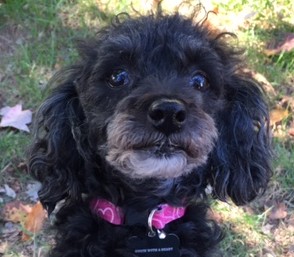 Sallys beautiful face-1