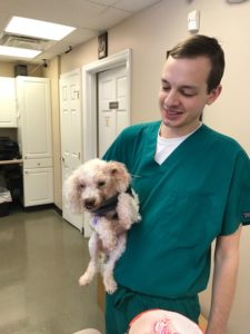 Buddy at the Dental office after surgery