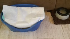 Doggie Bed with pottie pad