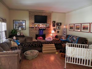 Doggie Den
