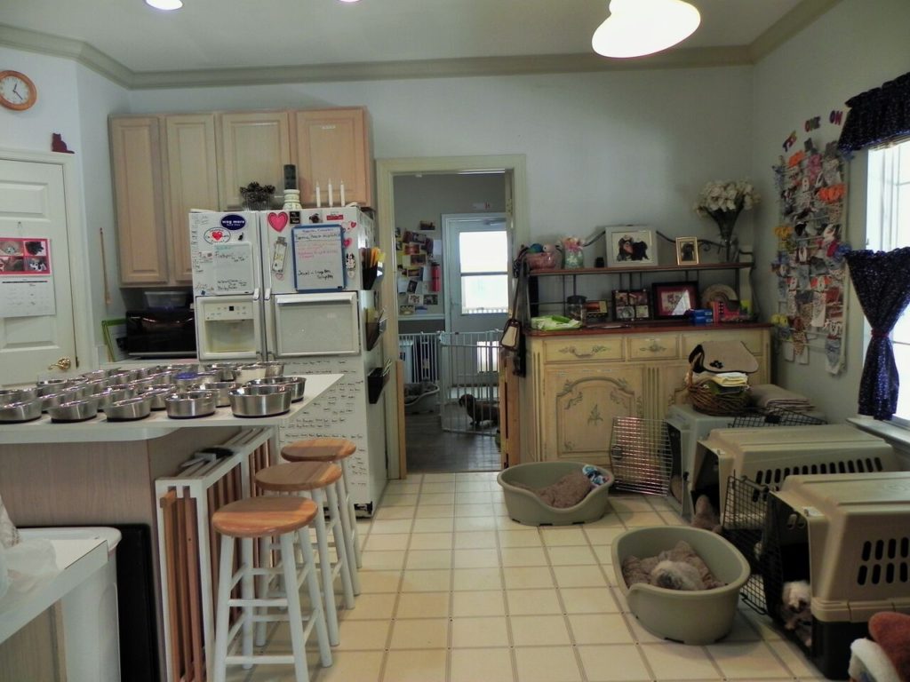 Kitchen - prepping for dinner