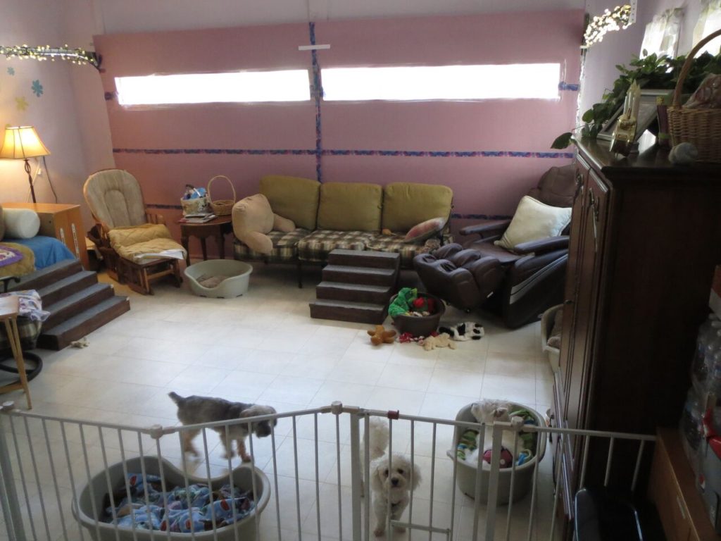 Converted Garage - Playroom