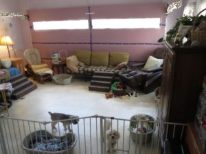 Converted Garage - Playroom