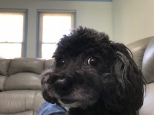 Sally Selfie