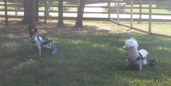 Vickie and Happy Outdoors