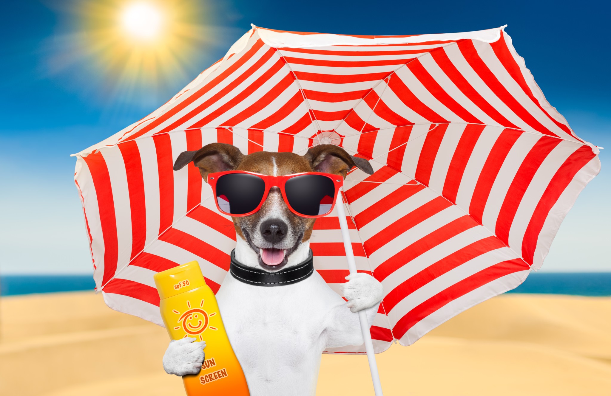 Cool Tips for Hot Days