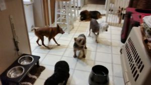 DinnerTime