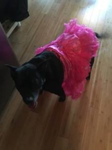 Gracee in pink