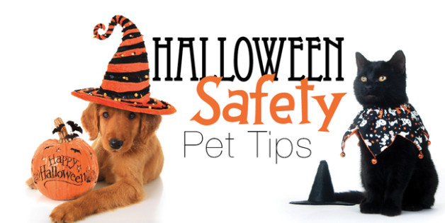 Halloween Safety