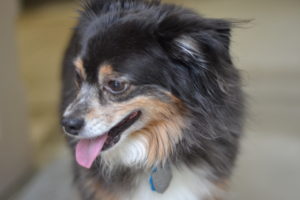 Marlie Profile