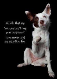 BuyLoveAdoptionFee