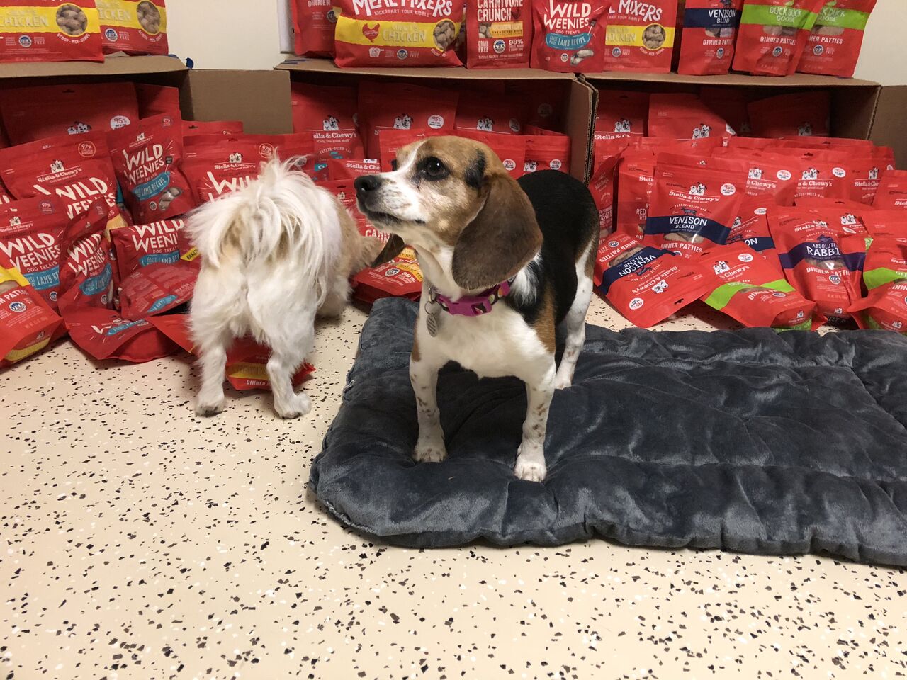Shop Chewy.com and they will donate!
