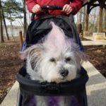 Lady Riding Feb 2019