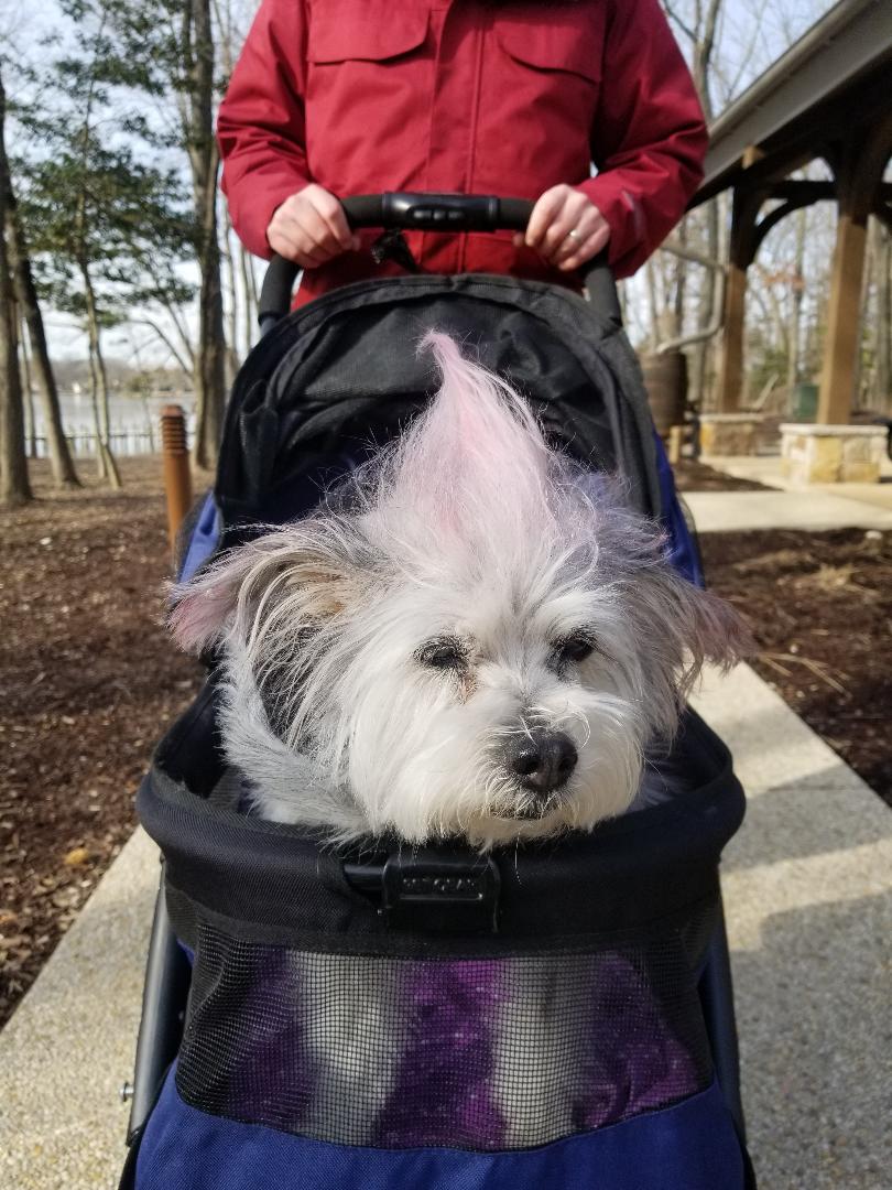 Medical Miracle: Lady Update!