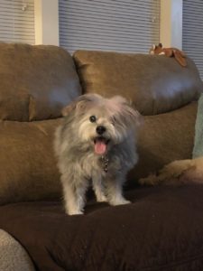 Lady - Feb 2019