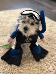 Lady Halloween