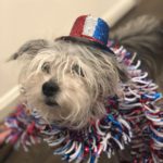 Lady July4th