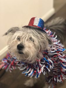 Lady July4th