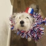 Lady July 4th