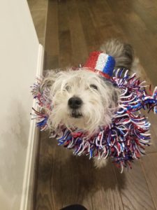 Lady July 4th