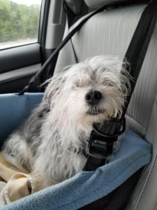 Lady - Car Ride!