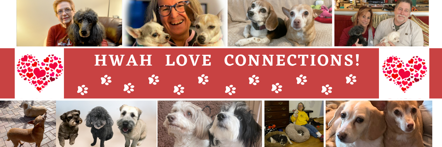 Love Connections Banner