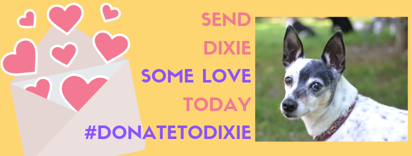 Send DIXIE some love today