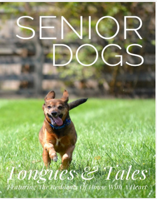 “Tongues & Tales” – Donate & Get Your Free Copy