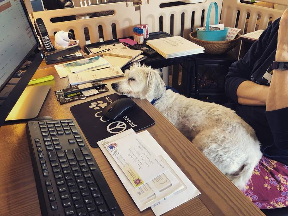 MarcoAtComputer MarcoAtComputer