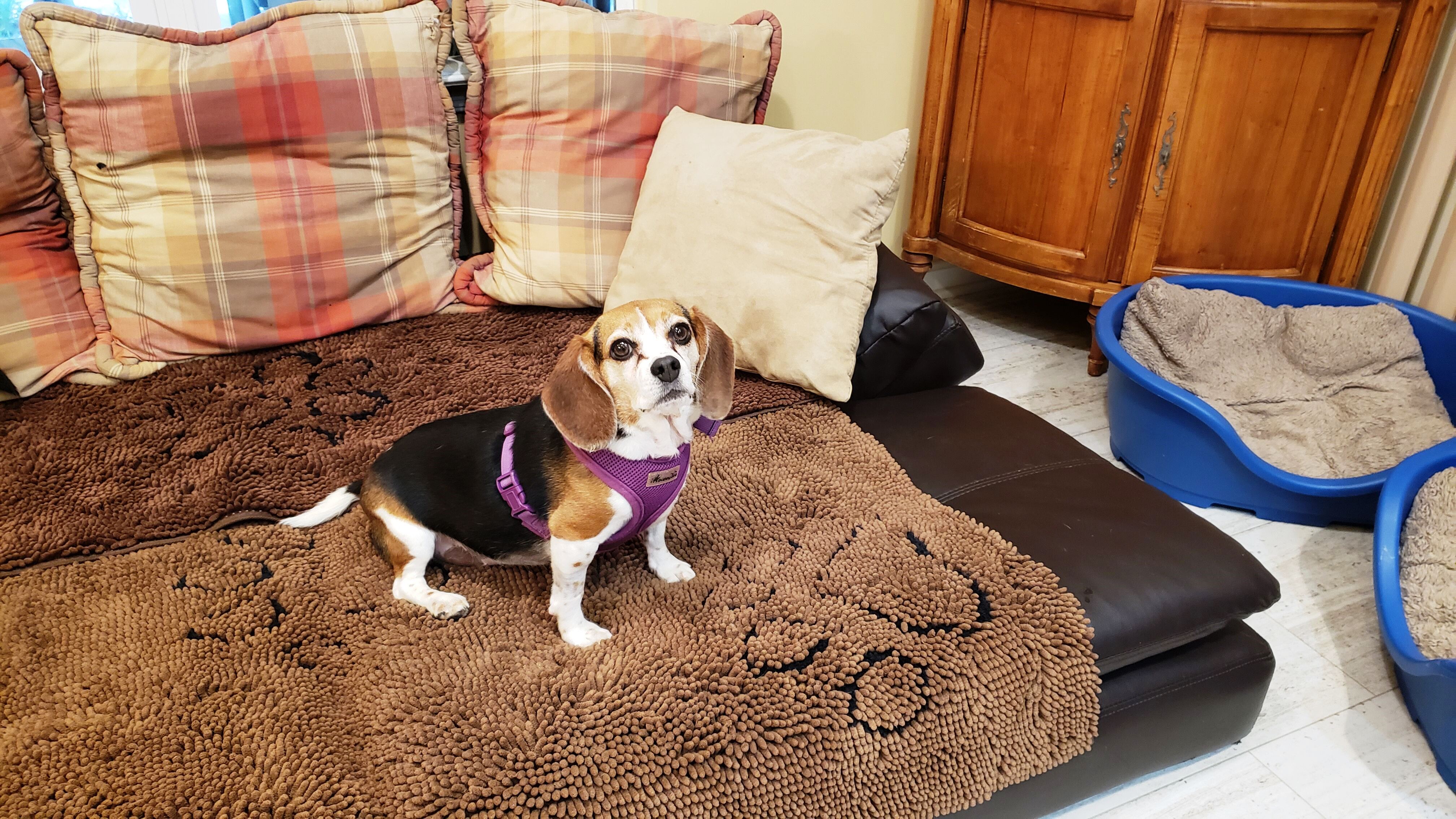 PiperNewSofa PiperNewSofa