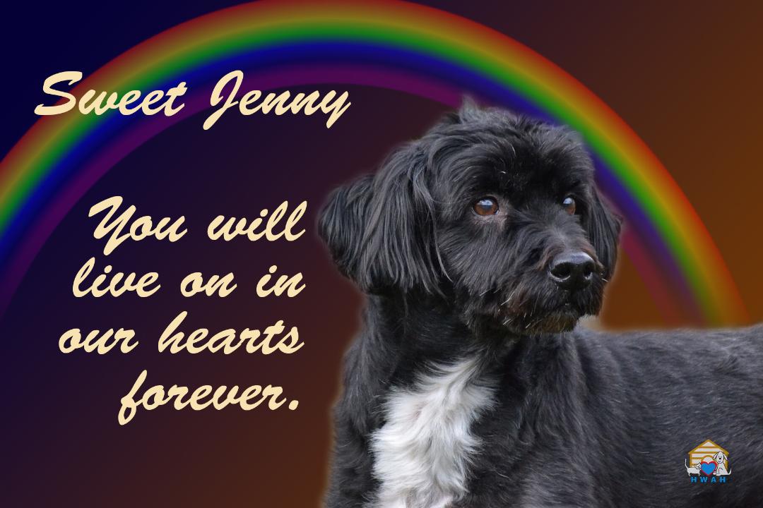 Jenny-2-8-2020farewell