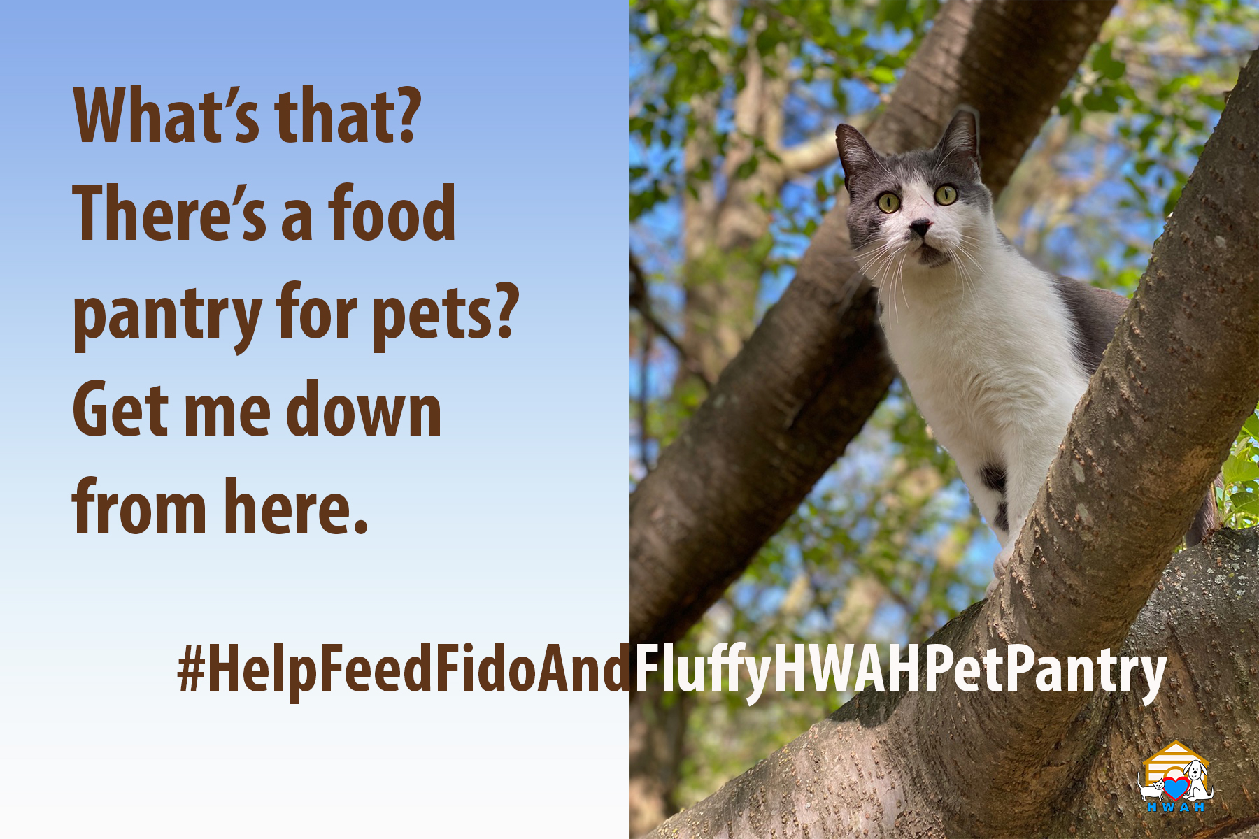 Feed Fido & Fluffy – Update!!!!