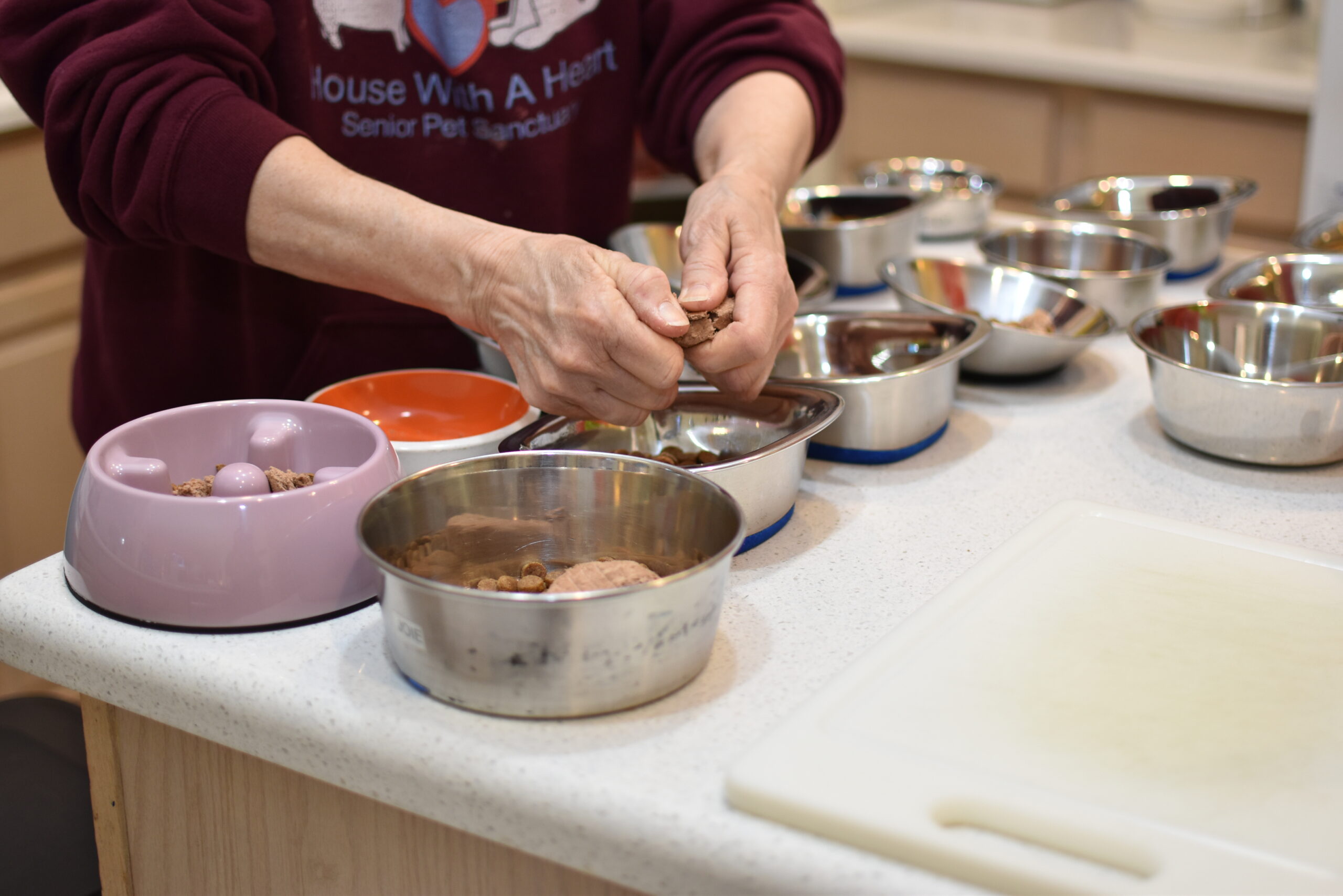 Giving Tuesday – Donating for Food