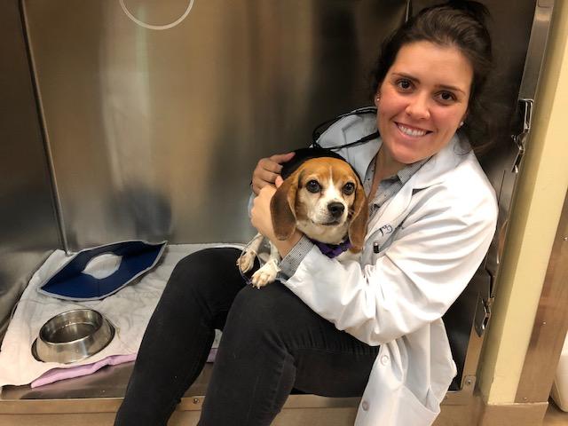 Giving Tuesday – Donating for Vet Costs