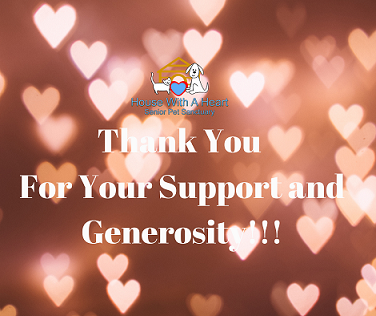 Giving Tuesday Thank You