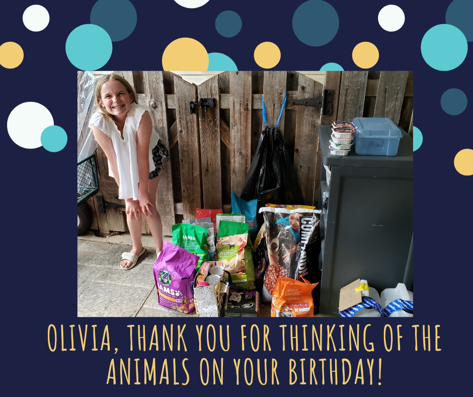 5th Grader Birthday Benefits HWAH – Behind the Scenes