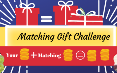 Matching Gift Challenge