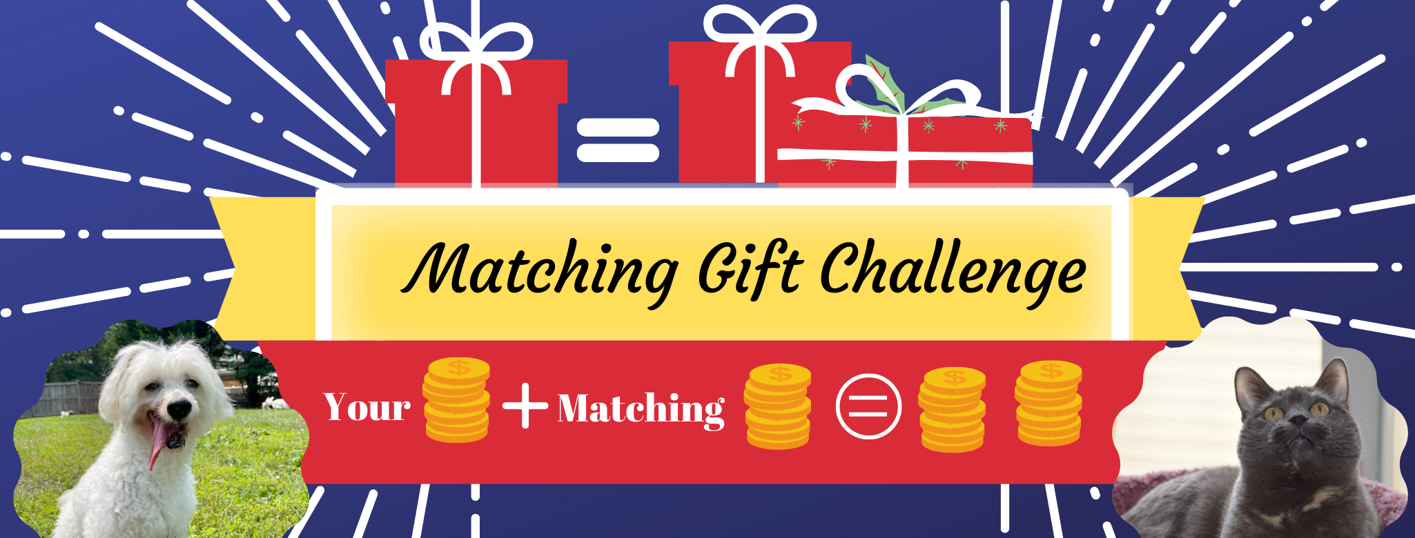 Matching Gift Challenge
